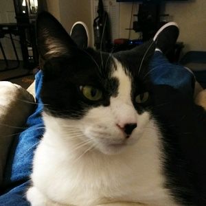 Meet your Posher, Charles